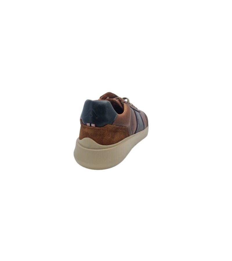 Ambitious Mens Ambitious Mens Premium Brown Leather Fashion Trainer 12981B-11172AM