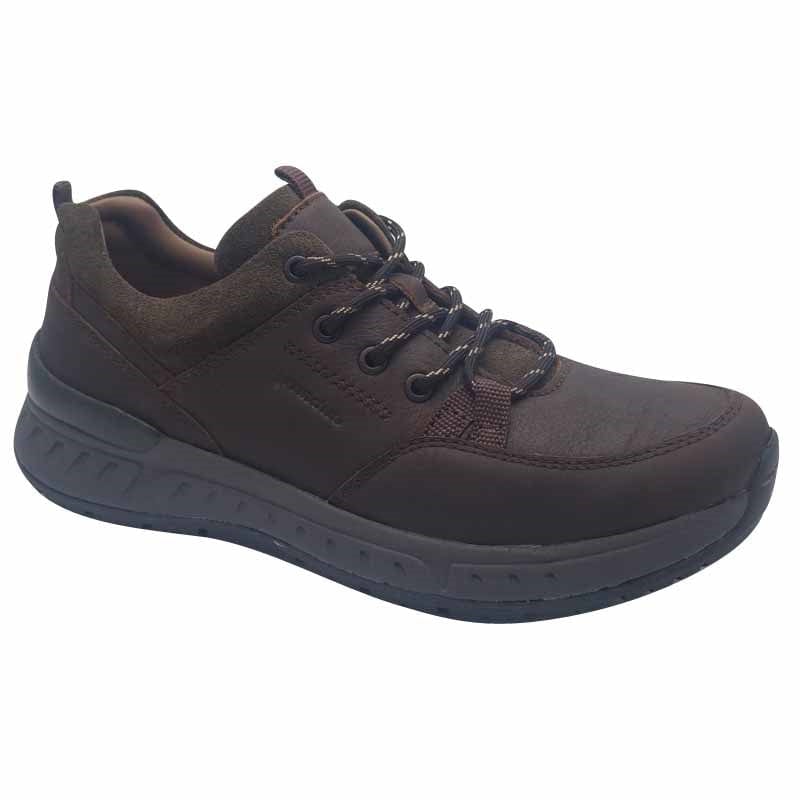 Dubarry Mens 7UK / MAHOGANY Dubarry Mens Mahogany Sneaker - Stamford