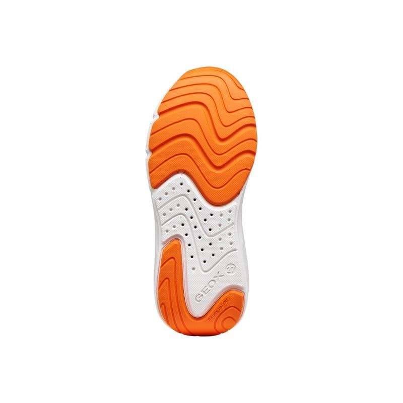 Geox Kids Geox Junior Boys Navy Low Top Pro Ran Sneakers - J65P7F