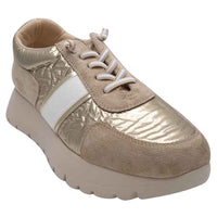 Zanni & Co Womens Zanni & Co Womens Lightweight Gold Fashion Trainer - Rakhakot