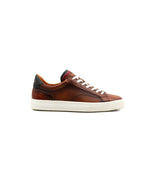 Ambitious Mens 8UK / BROWN Ambitious Mens Premium Brown Leather Fashion Trainer 11218-6327AM