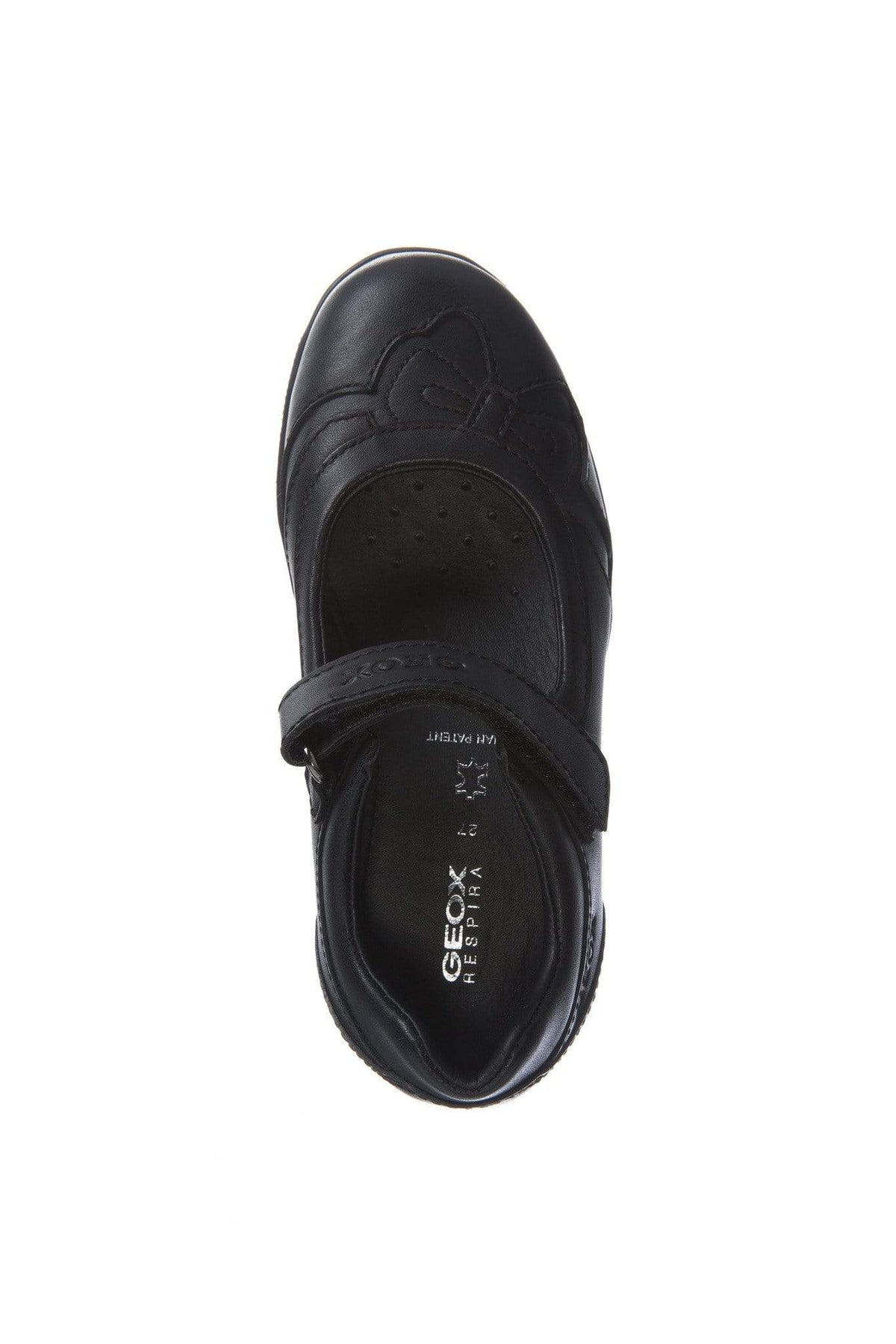 Geox Kids Geox Girl's School Shoe J54A6A