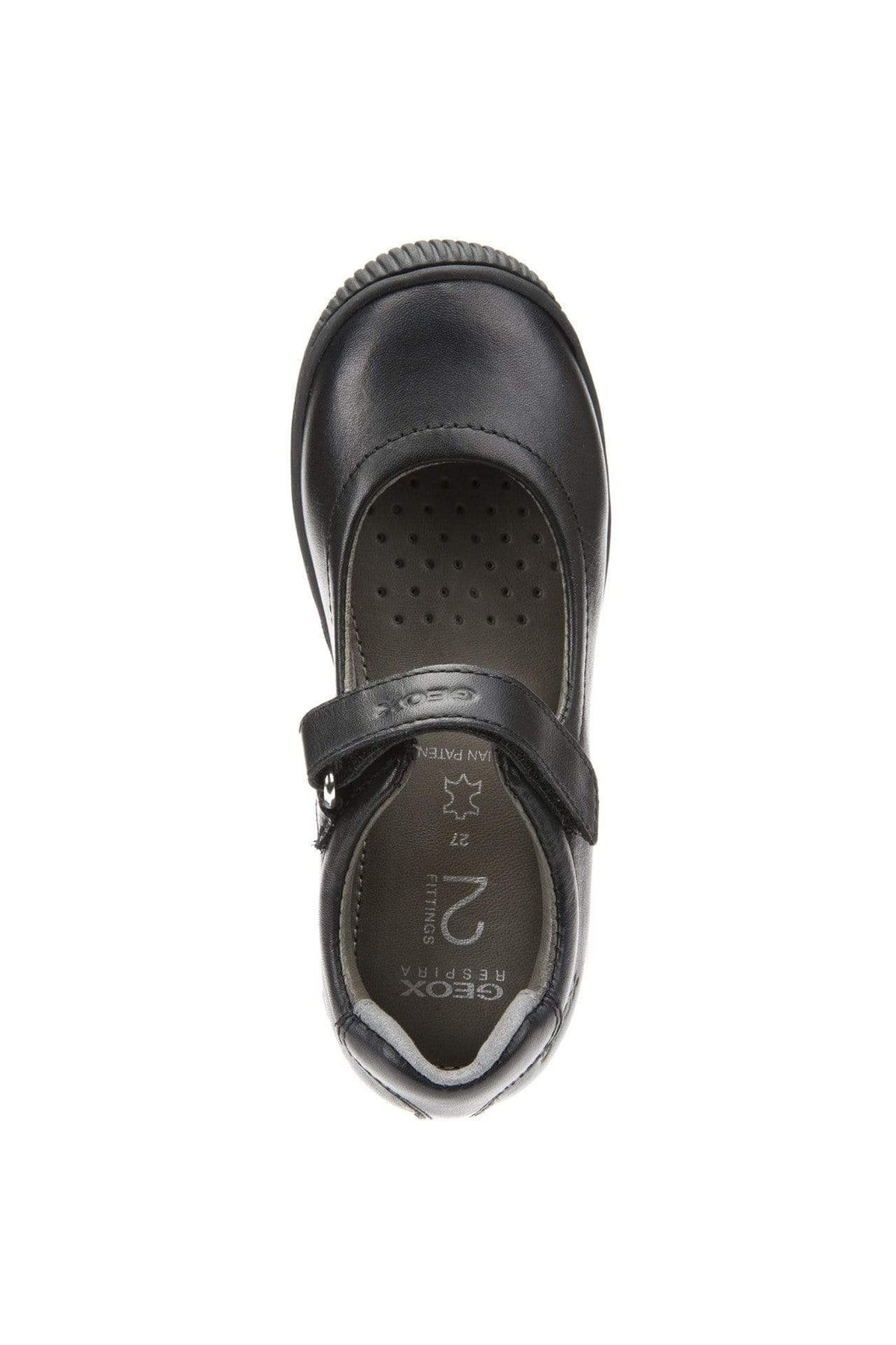 Geox Kids Geox Girls Black Leather School Shoes J643CA